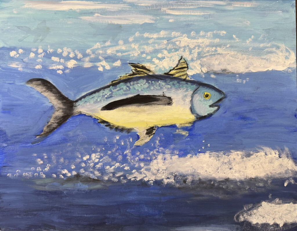 The Story of an Albacore